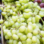 VITIS VINIFERA  varietà APIRENA