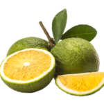 CHINOTTO