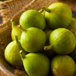 FICUS CARICA BROGIOTTO BIANCO