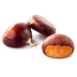 CASTANEA SATIVA MARRONE