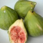 FICUS CARICA DOTTATO BIANCO