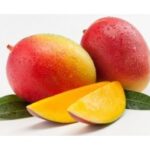 MANGIFERA INDICA MANGO